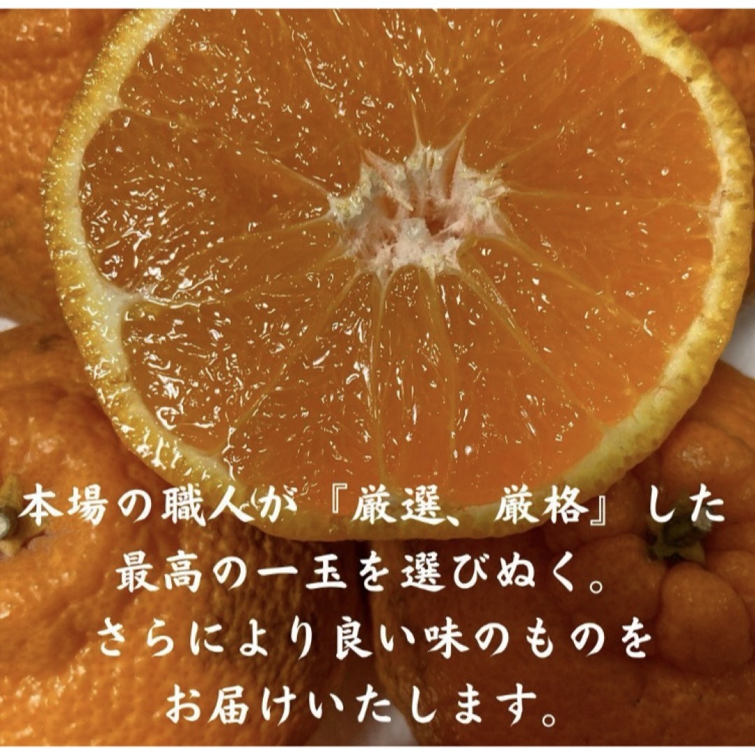 解禁宣言！デコポン発祥の地！熊本　本場の不知火町 『ぶちゃポン』１０Kg みかん 食品/飲料/酒の食品(フルーツ)の商品写真