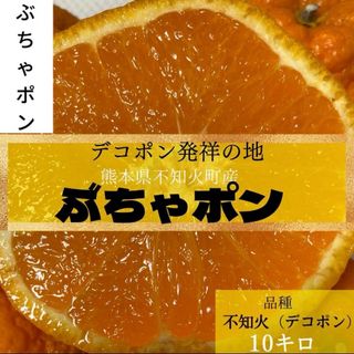 解禁宣言！デコポン発祥の地！熊本　本場の不知火町 『ぶちゃポン』１０Kg みかん(フルーツ)