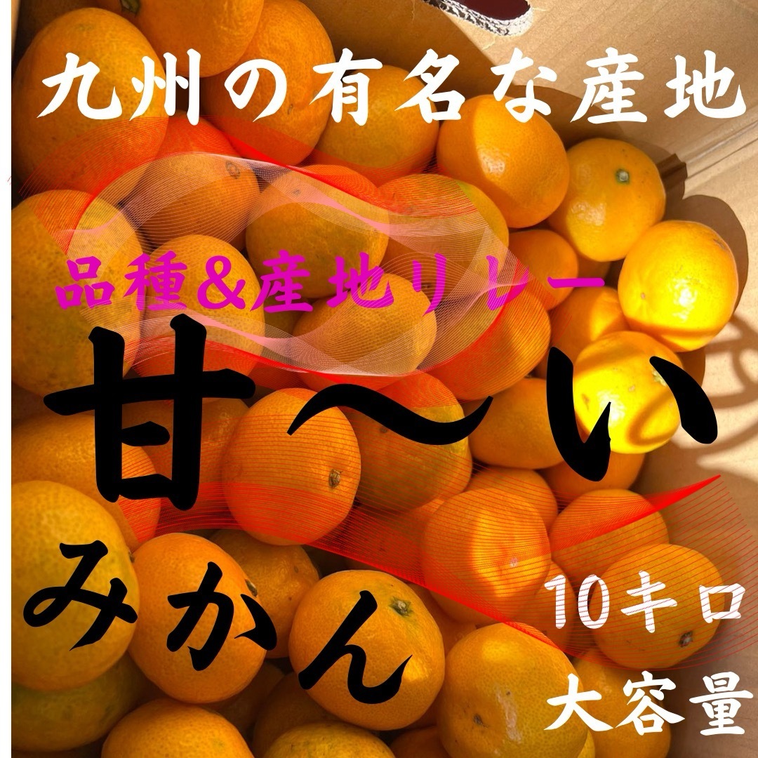 【甘いのが特徴です。】九州産　みかん　10kg『甘いです』　九州産地&品種リレー 食品/飲料/酒の食品(フルーツ)の商品写真