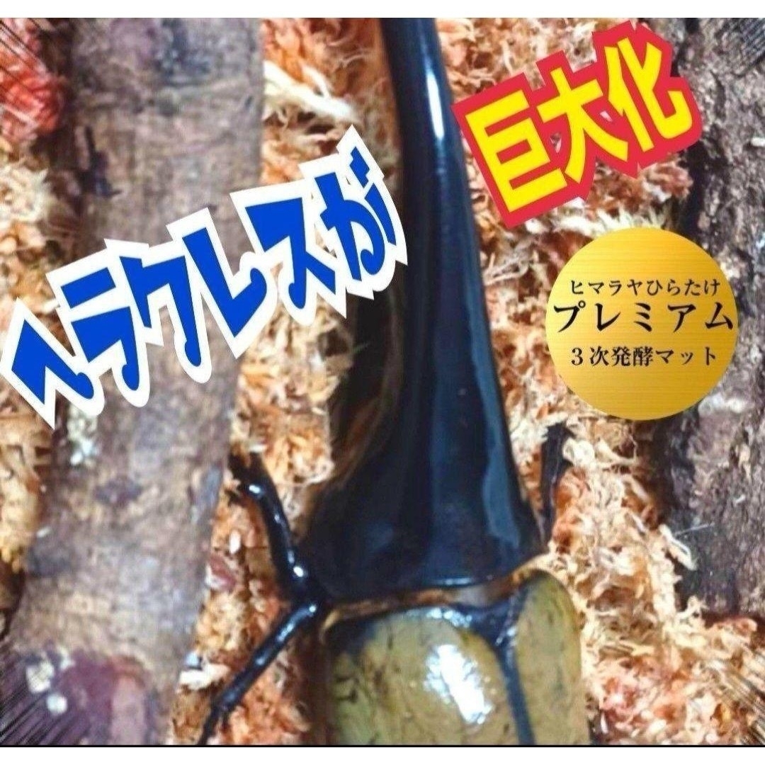 極上!ヒマラヤひらたけプレミアム3次発酵カブトムシマット【6袋 極上!ヒマラヤひらたけプレミアム3次発酵カブトムシマット【6袋