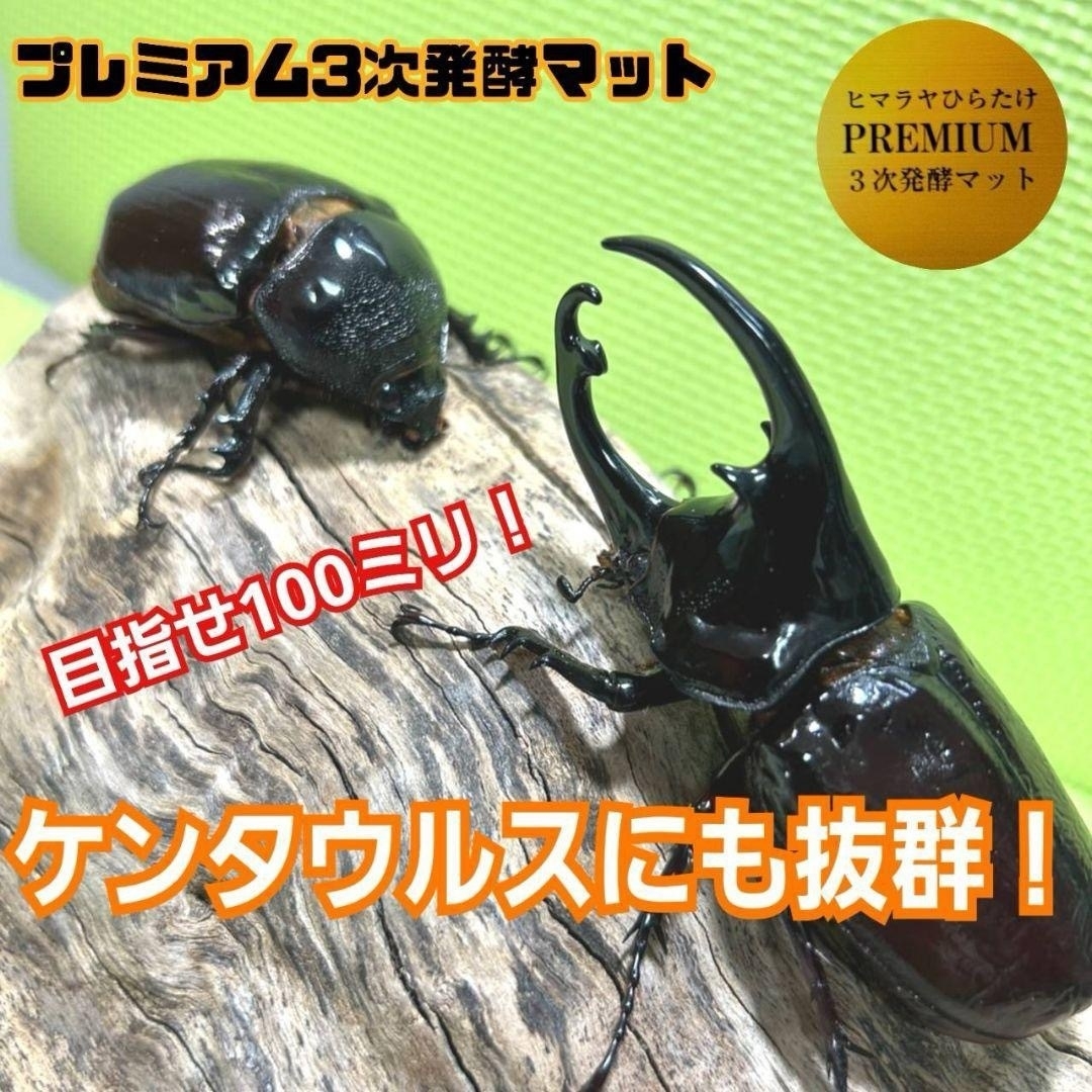 極上!ヒマラヤひらたけプレミアム3次発酵カブトムシマット【6袋 極上!ヒマラヤひらたけプレミアム3次発酵カブトムシマット【6袋