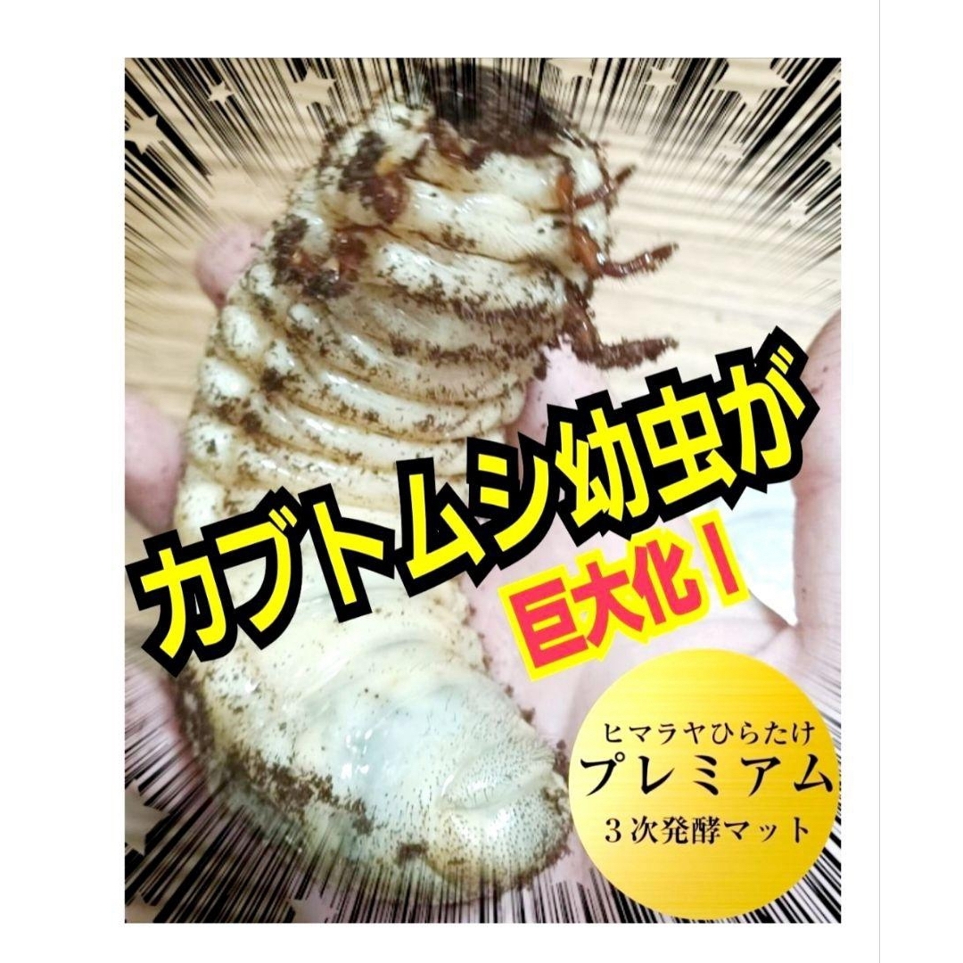 極上!ヒマラヤひらたけプレミアム3次発酵カブトムシマット【6袋 極上!ヒマラヤひらたけプレミアム3次発酵カブトムシマット【6袋