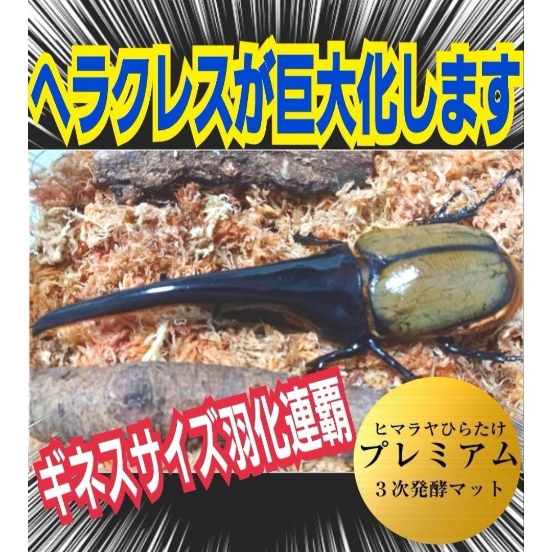極上!ヒマラヤひらたけプレミアム3次発酵カブトムシマット【6袋 極上!ヒマラヤひらたけプレミアム3次発酵カブトムシマット【6袋