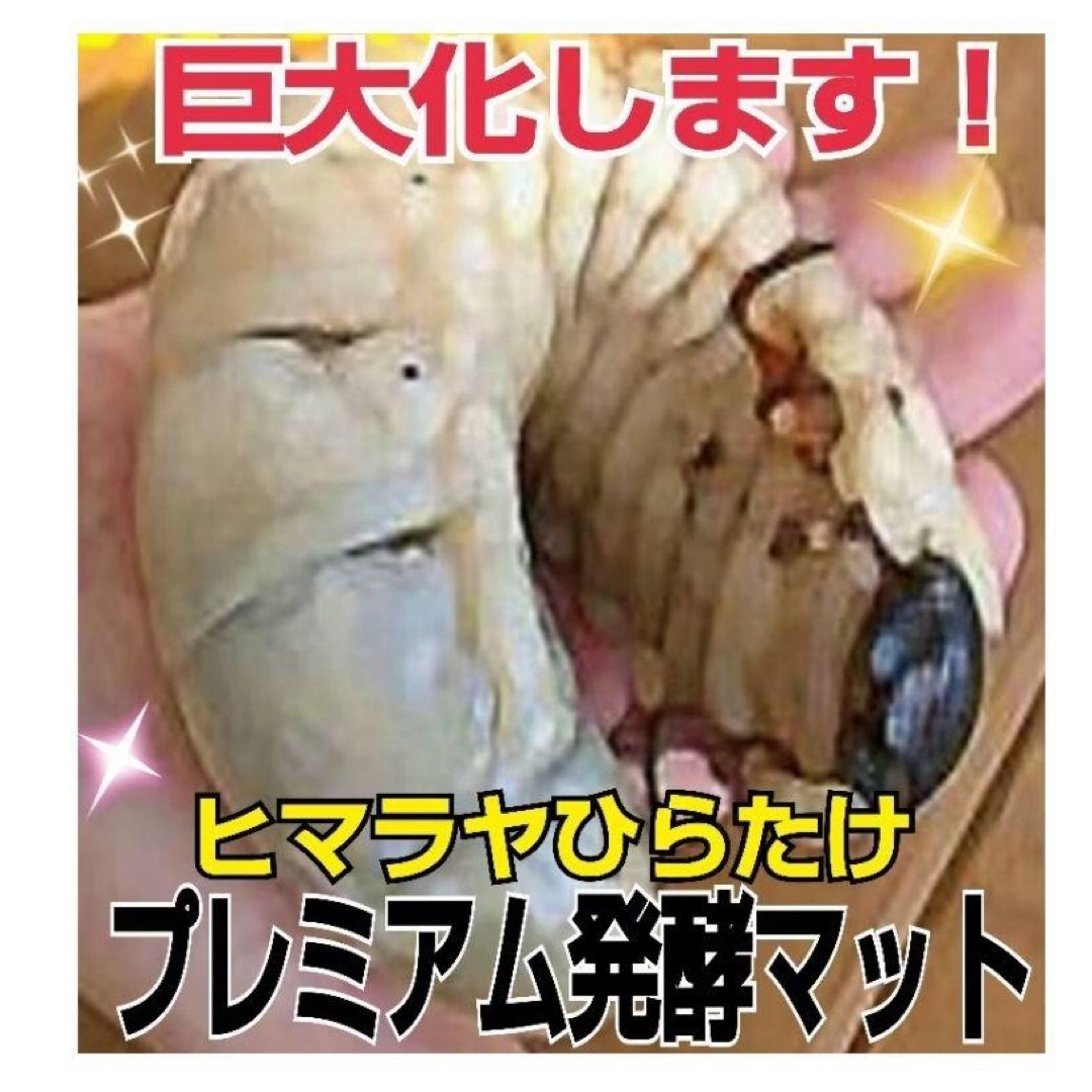 極上!ヒマラヤひらたけプレミアム3次発酵カブトムシマット【6袋 極上!ヒマラヤひらたけプレミアム3次発酵カブトムシマット【6袋