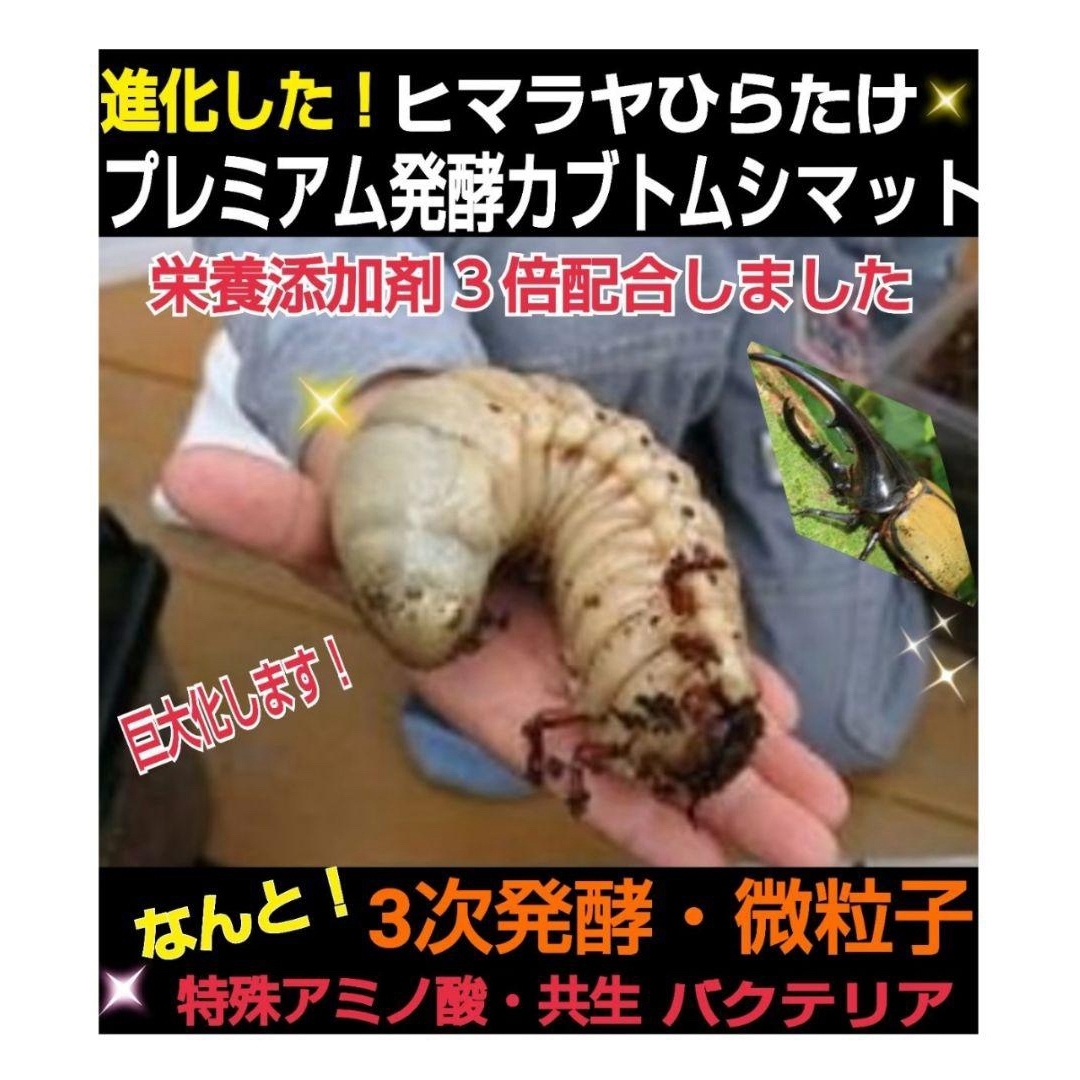 極上!ヒマラヤひらたけプレミアム3次発酵カブトムシマット【6袋 極上!ヒマラヤひらたけプレミアム3次発酵カブトムシマット【6袋