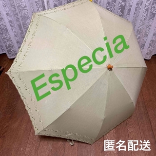 エスペシア(Especia)のEspecia   日傘　折りたたみ　グリーン　カバーなし　中古　リユース　(傘)