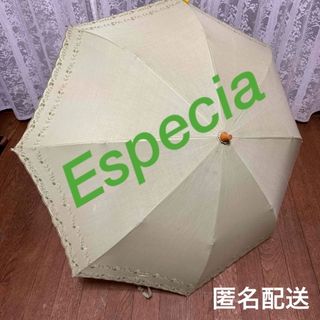 エスペシア(Especia)のEspecia   日傘　折りたたみ　グリーン　カバーなし　中古　リユース　(傘)