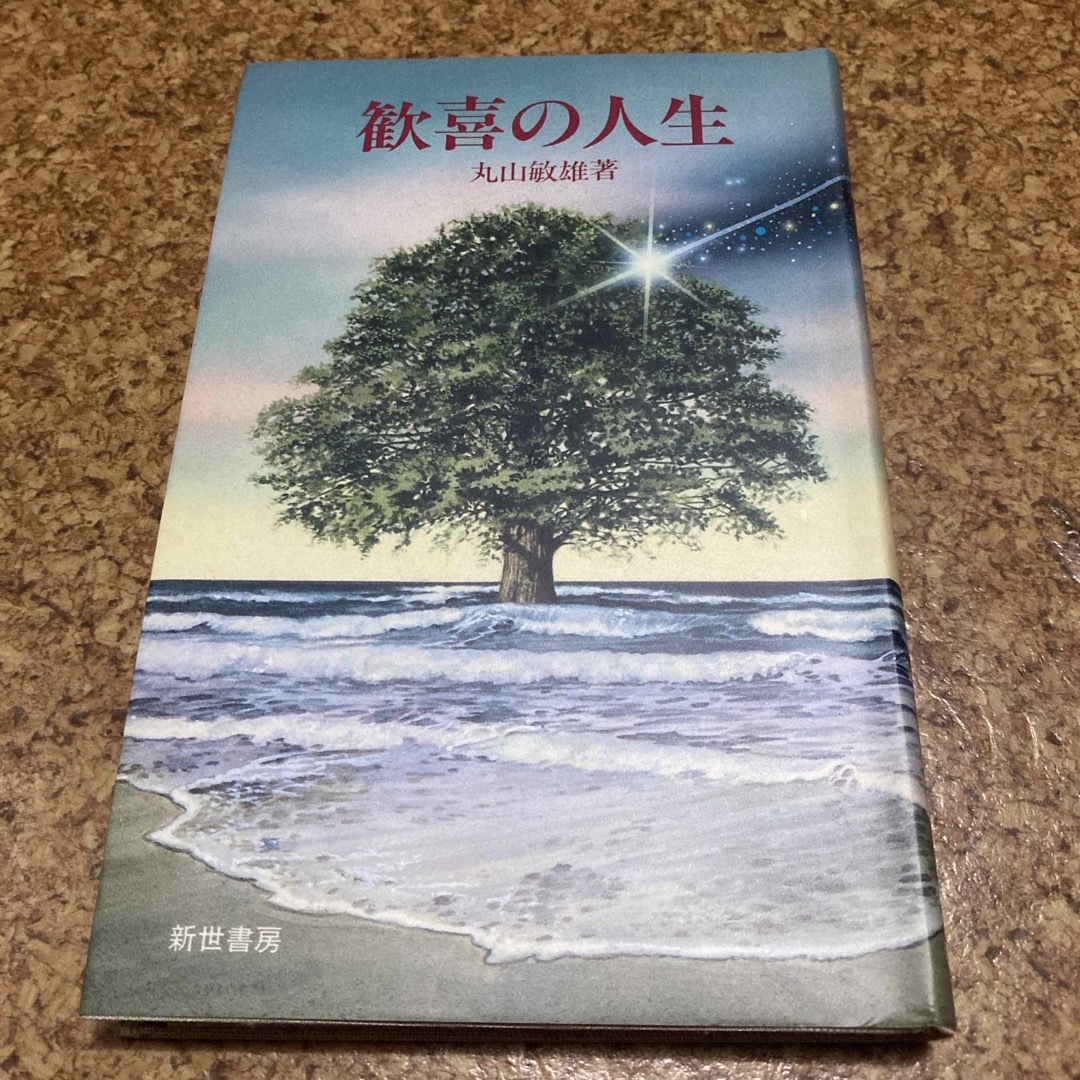 歓喜の人生　丸山敏雄　新世書房 エンタメ/ホビーの本(人文/社会)の商品写真