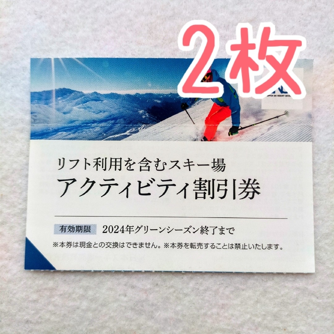 日本駐車場開発 株主優待 アクティビティ割引券 リフト券 - スキー場