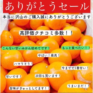 アリダミカン(有田みかん)の減農薬 有田みかん 3キロ　小玉みかん5cmほどの3sサイズ(フルーツ)