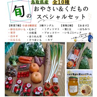 【鳥取スペシャル】野菜果物セット 10種 120サイズ 詰め合わせ 蜂蜜 長芋(野菜)