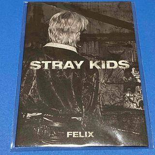 ストレイキッズ(Stray Kids)のstray kids IN生　in life ミニフォトブック　フィリックス(アイドルグッズ)