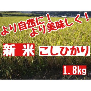 タケタケ様専用です😊ミルキークイーン玄米20kgの通販 by ♥kyan♥'s