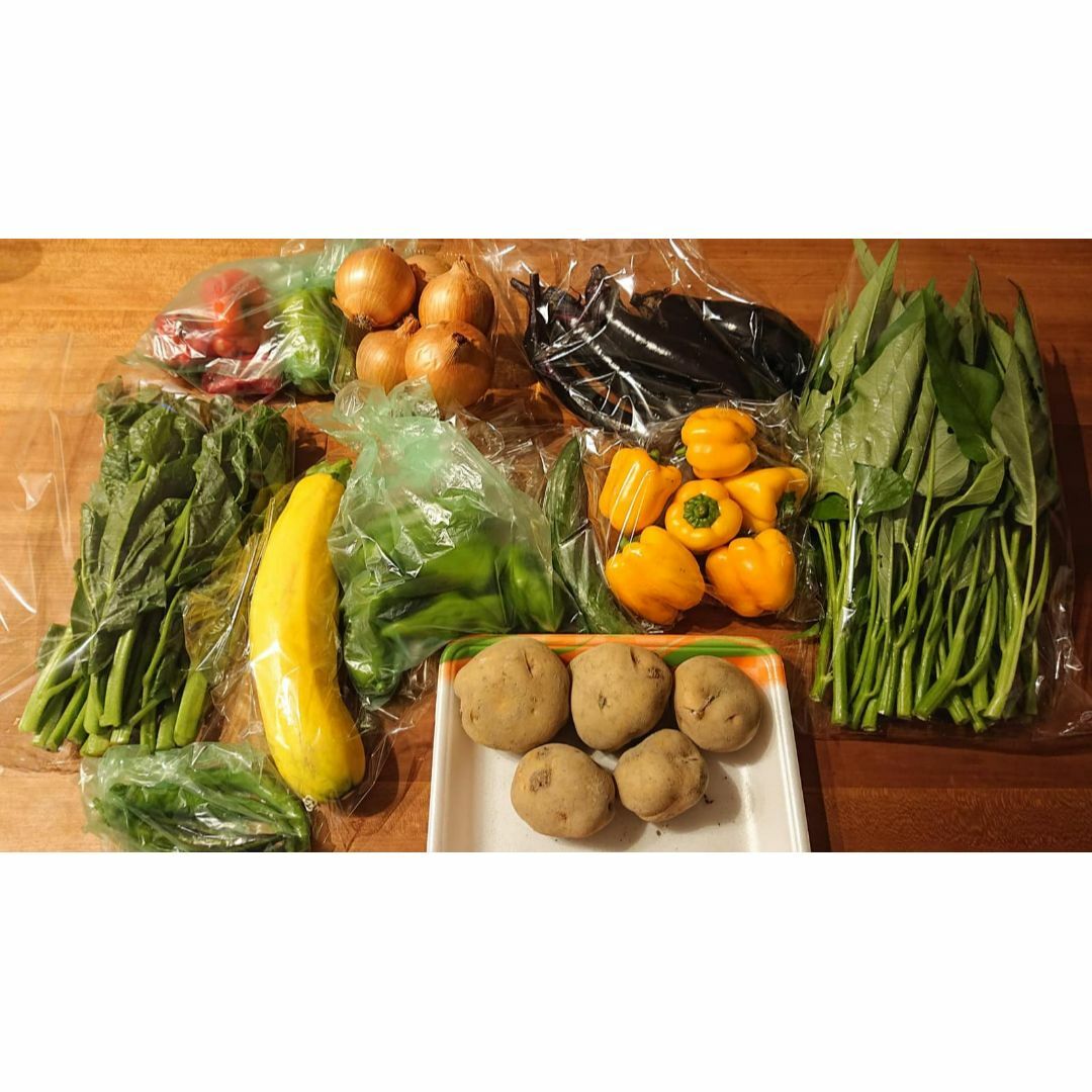 【農薬化学肥料不使用】季節のお野菜セット　M 食品/飲料/酒の食品(野菜)の商品写真