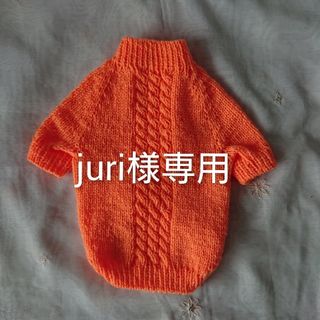 juri様専用 犬服 ラグラン長袖 縄編み模様(ペット服/アクセサリー)