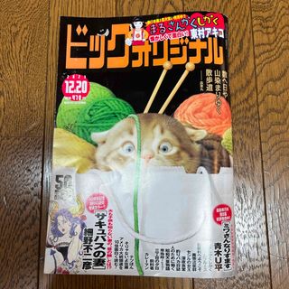 ビッグコミック オリジナル 2023年 12/20号 [雑誌](アート/エンタメ/ホビー)