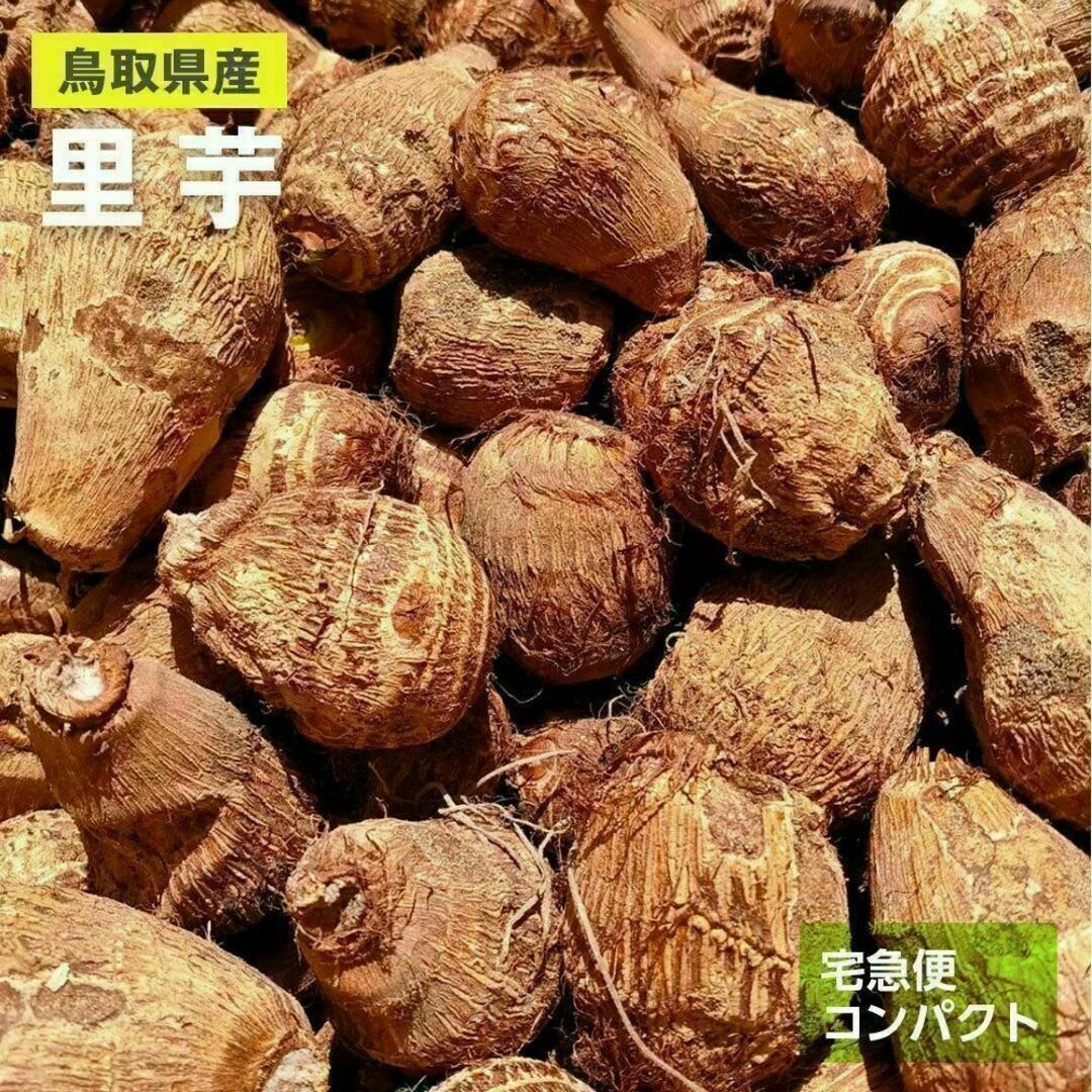 【鳥取県産】黄金里芋 サトイモ 山芋 大和芋 宅急便コンパクト 1kg前後 食品/飲料/酒の食品(野菜)の商品写真