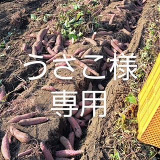 2キロ(その他)