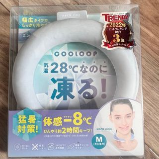 COGIT コジット ネッククーラー 首 ひんやり リング ライトグレー M C(その他)