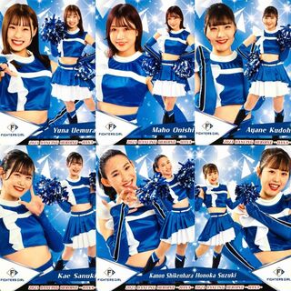 ホッカイドウニホンハムファイターズ(北海道日本ハムファイターズ)のFIGHTERS GIRL レギュラーカード コンプリート BBM チアリーダー(シングルカード)