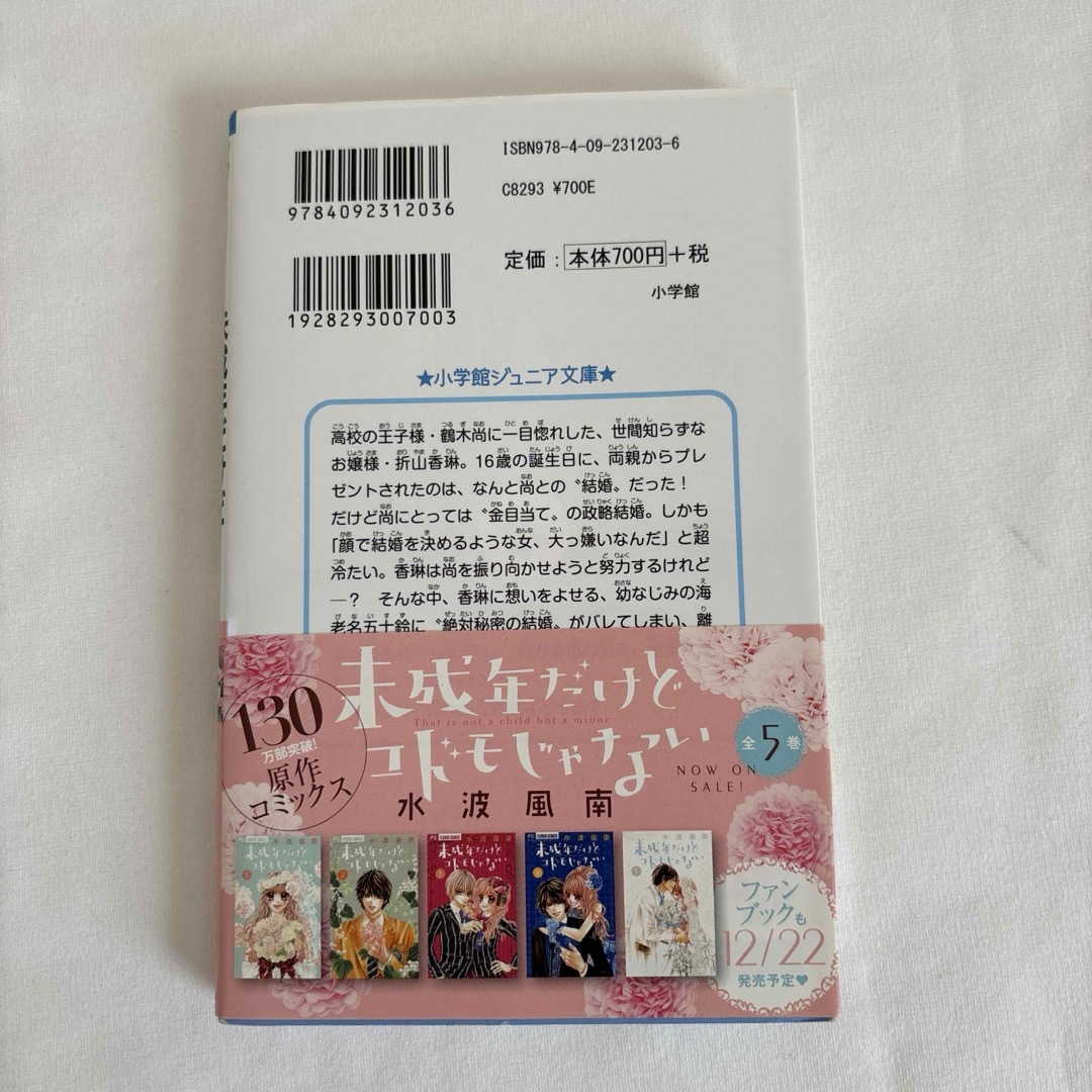 未成年だけどコドモじゃない 映画ノベライズ版 エンタメ/ホビーの本(文学/小説)の商品写真