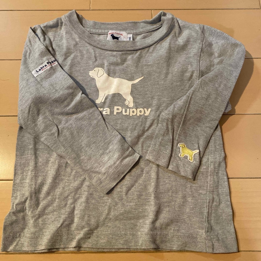 Labrador Retriever(ラブラドールリトリーバー)のラブラドール　Tシャツ キッズ/ベビー/マタニティのキッズ服女の子用(90cm~)(Tシャツ/カットソー)の商品写真