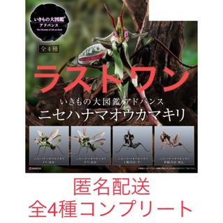 バンダイ(BANDAI)のガチャ　いきもの大図鑑　ニセハナマオウカマキリ　全4種コンプリートセット(その他)