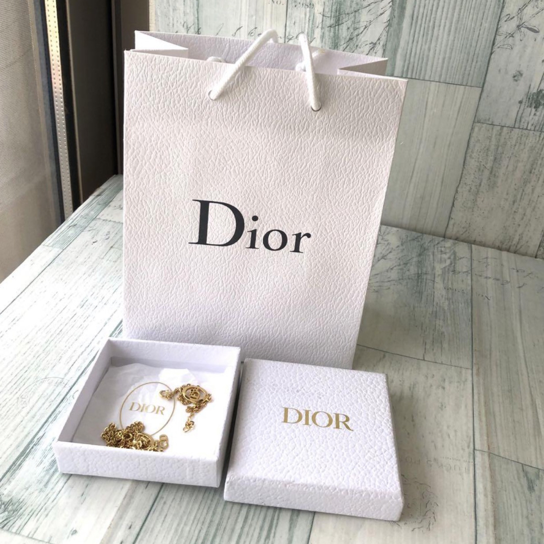 Christian Dior - 美品 クリスチャンディオール Diorロゴ ネックレス