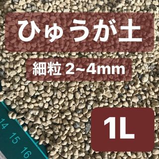 ひゅうが土 細粒 1L 日向土 観葉植物 コーデックス 多肉植物 サボテン(その他)