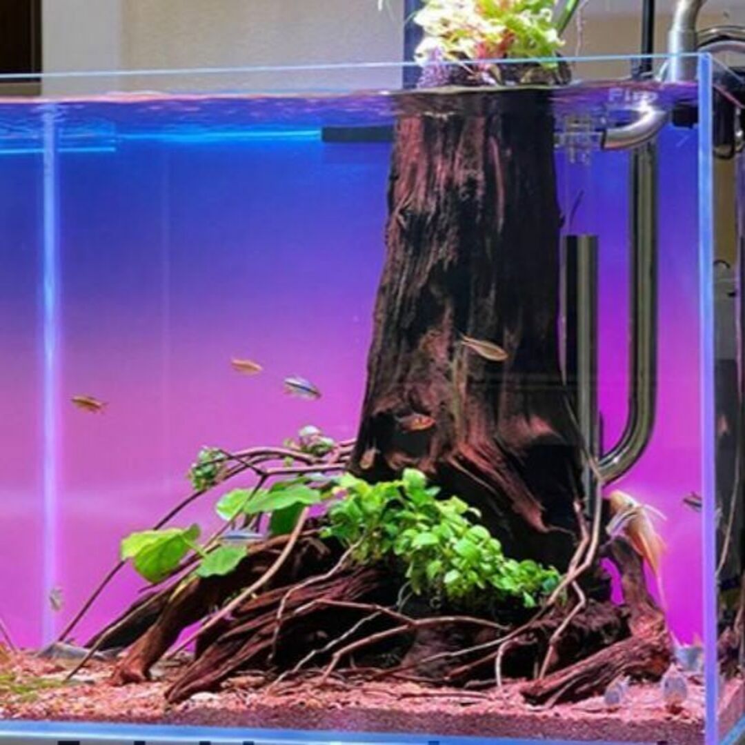 60cm×45cm水槽用 LEDバックライトスクリーン - 魚用品/水草 60cm×45cm水槽用 LEDバックライトスクリーン - 魚用品/水草