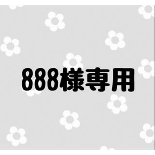 888様専用(つけ爪/ネイルチップ)