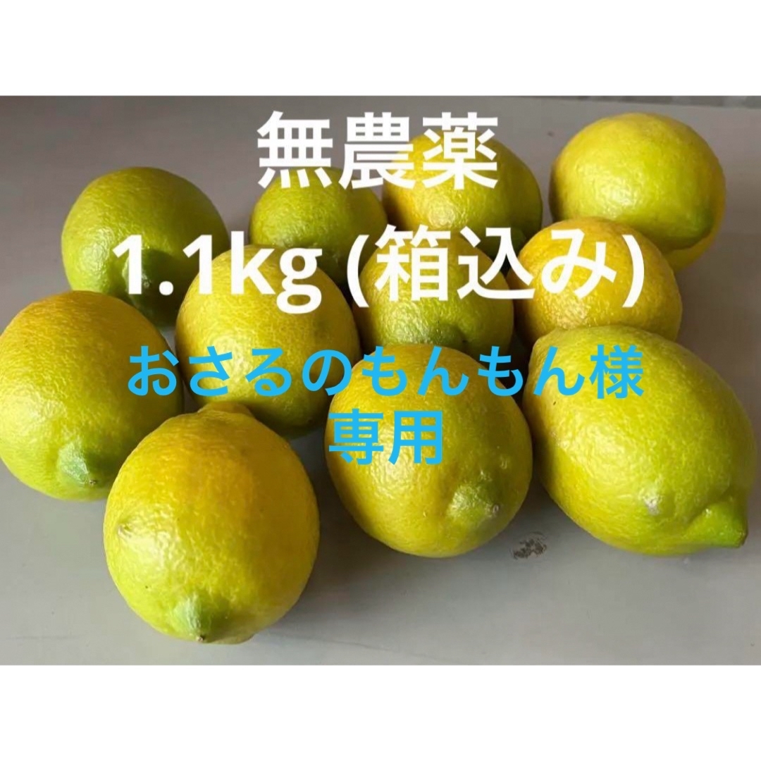 レモン　無農薬　1.1kg (箱込み) 食品/飲料/酒の食品(フルーツ)の商品写真