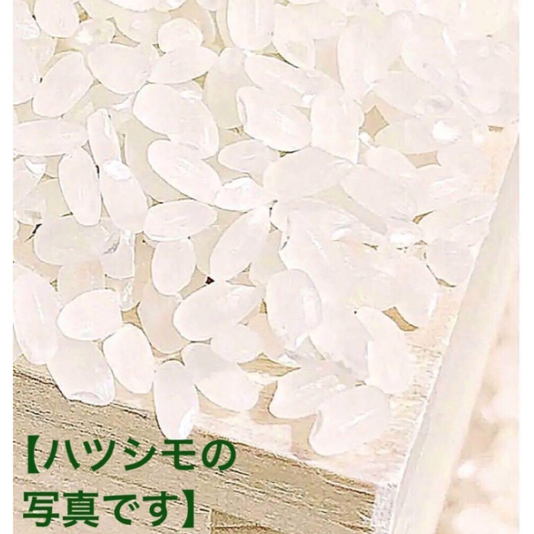 令和5年産✳️ハツシモ&ミルキークイーン各５キロ有機減農【食べ比べセット】 食品/飲料/酒の食品(米/穀物)の商品写真