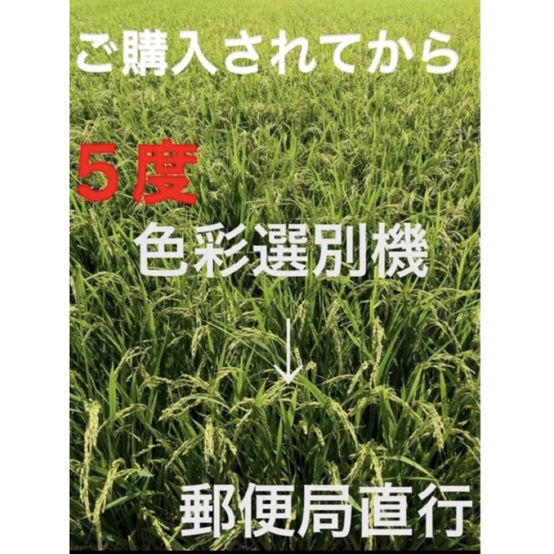 ⭐️ 新米R５年産✳️５回選別ミルキークイーン10キロ有機肥料・減農・送料無料 食品/飲料/酒の食品(米/穀物)の商品写真