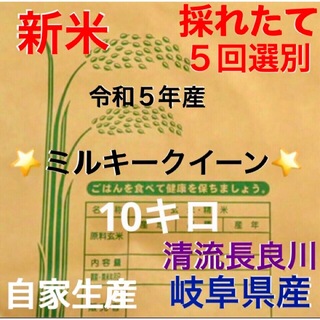 ⭐️ 新米R５年産✳️５回選別ミルキークイーン10キロ有機肥料・減農・送料無料(米/穀物)
