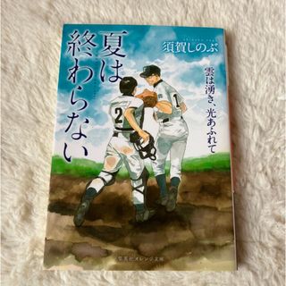 夏は終わらない(文学/小説)