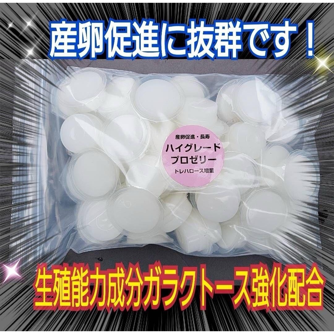 特選ハイグレードプロゼリー50個☆産卵促進・長寿に抜群！食べやすいワイドカップ その他のペット用品(虫類)の商品写真