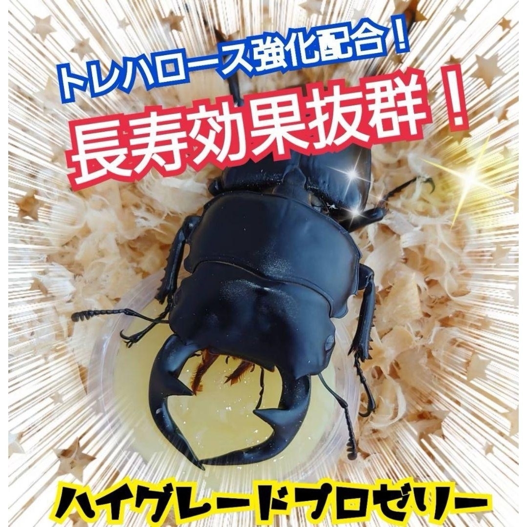 特選ハイグレードプロゼリー50個☆産卵促進・長寿に抜群！食べやすいワイドカップ その他のペット用品(虫類)の商品写真