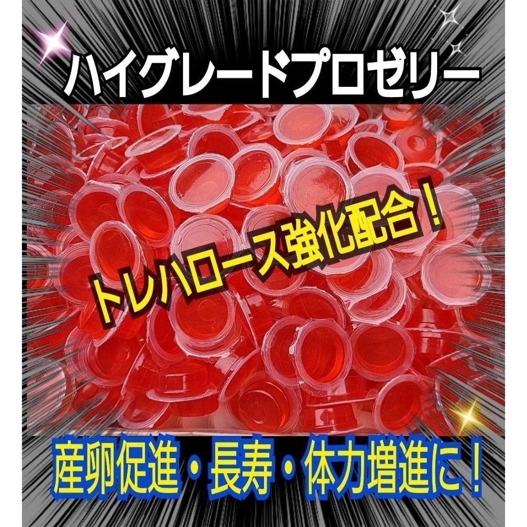 特選ハイグレードプロゼリー50個☆産卵促進・長寿に抜群！食べやすいワイドカップ その他のペット用品(虫類)の商品写真