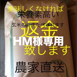 HM様専用　新米　無農薬こしひかり10㎏ 精米(米/穀物)