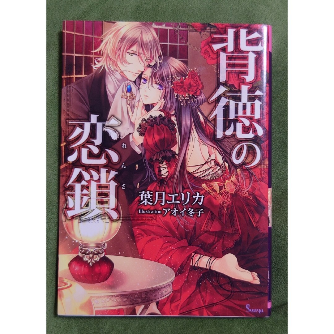 TL 背徳の恋鎖 エンタメ/ホビーの本(文学/小説)の商品写真
