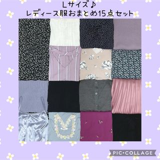 グレイル(GRL)のパープル系　キレイめ　フェミニン　レディース　ゆったりめ　Lサイズ　15点(ニット/セーター)