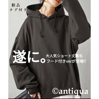 アンティカ(antiqua)の【新品】antiqua スウェット パーカー フード付き プルオーバー 完売色(パーカー)