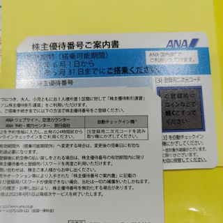 ANA株主優待券2枚(その他)