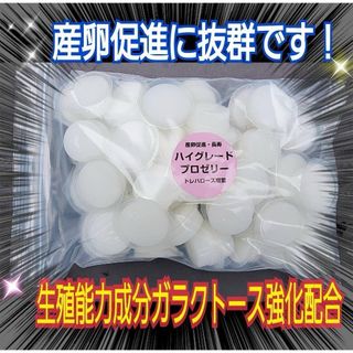 特選ハイグレードプロゼリー50個☆産卵促進・長寿に抜群！食べやすいワイドカップ(虫類)