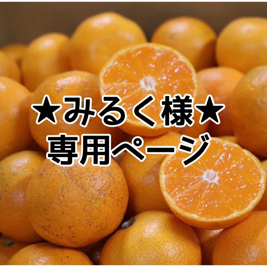 わけあり‼️和歌山県産 有田みかん 10kg 混合 食品/飲料/酒の食品(フルーツ)の商品写真