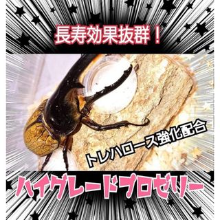 特選ハイグレードプロゼリー50個☆産卵促進・長寿に抜群！食べやすいワイドカップ(虫類)