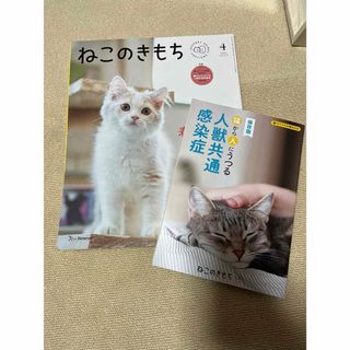 ねこのきもち 2023年4月号(猫)