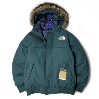 ザノースフェイス(THE NORTH FACE)のTHE NORTH FACE MCMURDO BOMBER JACKET L(ダウンジャケット)