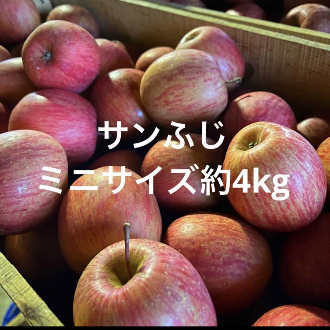 産地直送　サンふじ　青森県産　りんご　訳あり 食品/飲料/酒の食品(フルーツ)の商品写真